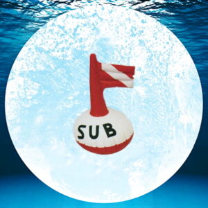 BOA SEGNASUB CON BANDIERA MINI FI 38CM